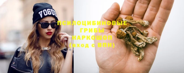 apvp Баксан