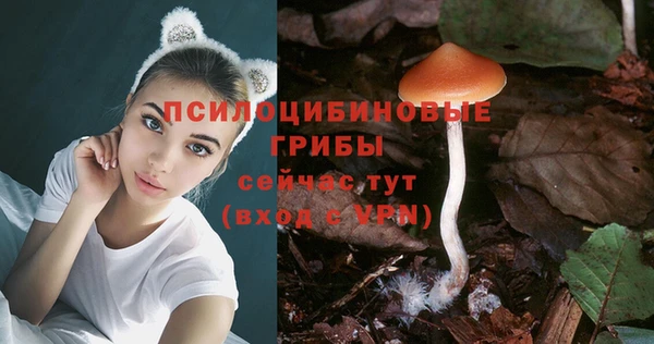 герыч Арсеньев